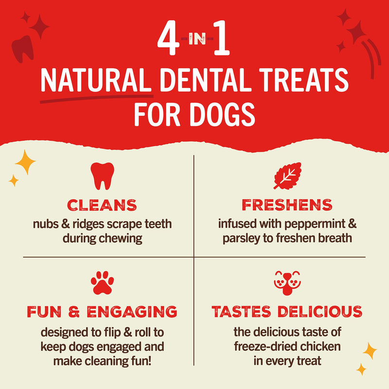 Stella & Chewy's Dental Delights with Freeze-Dried Chicken - Large Dental Treats for Dogs, 23.2 Ounce Bag Chicken (Large Treat) 1.45 Pound (Pack of 1)