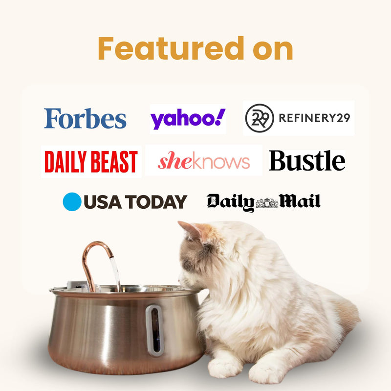 2.0 Large Capacity Stainless Steel Cat Water Fountain – 4L/135oz (Stainless Steel, 4L Corded) - PawsPlanet Australia