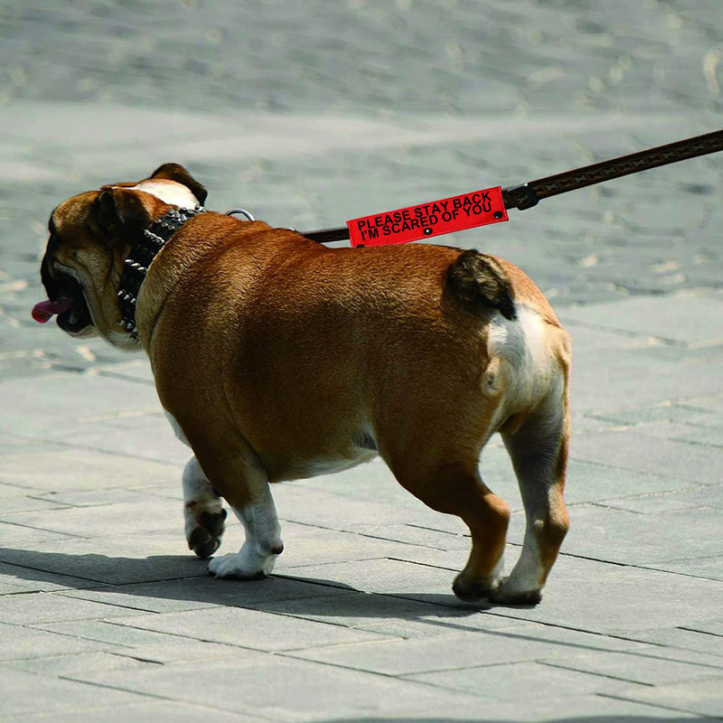 Funny Dog Leash Sleeve Please Stay Back I'm Scared of You Dog Leash Wrap Sleeve Pet Birthday Gift (I'm Scared of You-Sleeve) I'm Scared Of You-Sleeve - PawsPlanet Australia