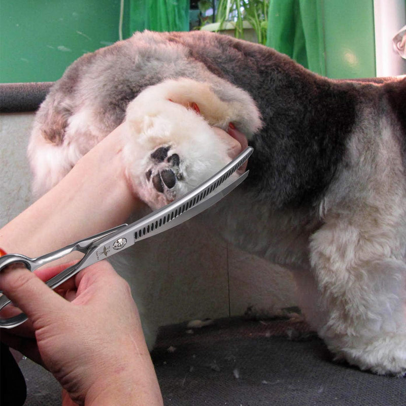 PURPLEBIRD 7 Inch Downward Curved Dog Grooming Scissors Pet Thinning Texturizing Shears Professional Safety Blunt Tip Trimming Shearing for Dogs Cats Face Paws Limbs Japanese Stainless Steel Silver 7.0"curvedThinning - PawsPlanet Australia