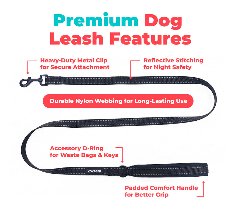 Voyager Reflective Dog Leash with Neoprene Handle, 6ft Long, Supports Small, Medium, and Large Breed Puppies, Cute and Heavy Duty for Walking, Running, and Training - Black, L Leash (Black) 1" x 6ft - PawsPlanet Australia