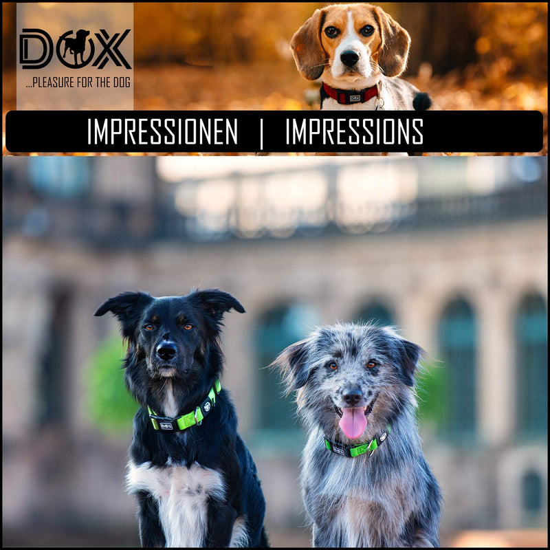 DDOXX Dog Collar Air Mesh, Adjustable, Padded | Many Colors & Sizes | for Small, Medium & Large Dogs | Collars cat Puppy pet Kitten | Yellow, XS XS - 0.6 x 8.3-12 in - PawsPlanet Australia