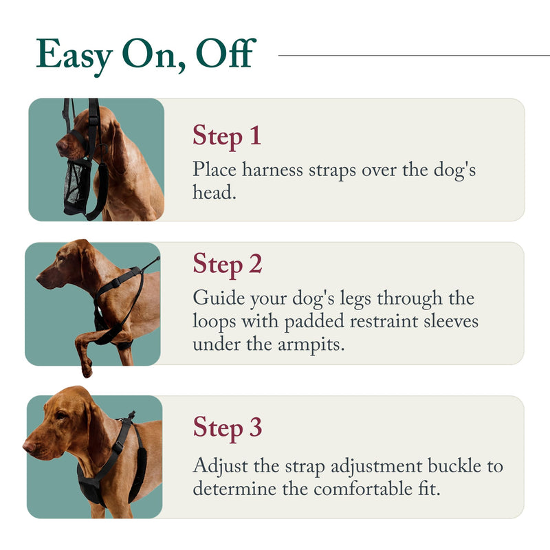SPORN Mesh Non Pull Dog Harness Small Blue, Perfect for Training-Stops Dogs from Pulling and Choking on Walks for Small, Medium and Large Dogs, Puppy Harness, No Pull Harness, No Choke Harness - PawsPlanet Australia