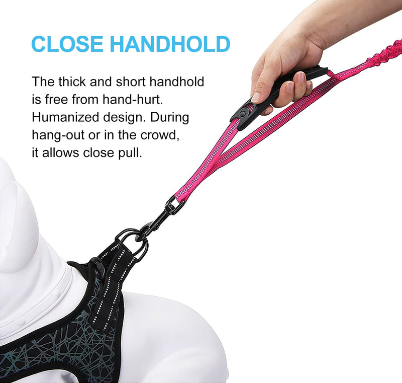 6FT Highly Reflective Heavy Duty Elastic Bungee Medium and Large Dog Leash Shock Absorbing with Comfortable Padded Handle and Traffic Handle Suitable for Training Hot Pink - PawsPlanet Australia