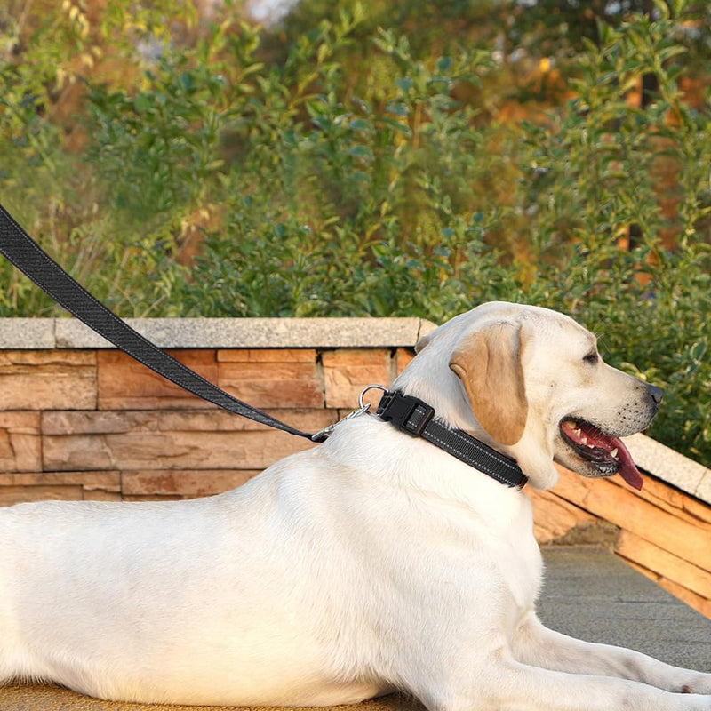 Dog Leash 6 FT Padded Handle Nylon Reflective Dogs Leashes for Small Dogs Black Small : 5/8" x 6 FT Refl Black - PawsPlanet Australia