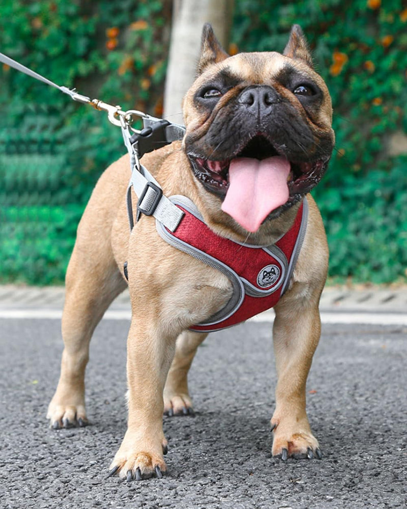 Dog Harness with Leash Set,No Pull Adjustable Vest Harness,Lightweight Easy Walk Dog & Cat Harness,Pet Harnesses Reflective for Puppy Small Medium and Large Dogs and Cats (Red, S) Red - PawsPlanet Australia