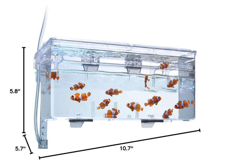 Fluval Multi-Chamber Holding and Breeding Box, Large – Up To 3 Separate Housing Compartments Standard Packaging