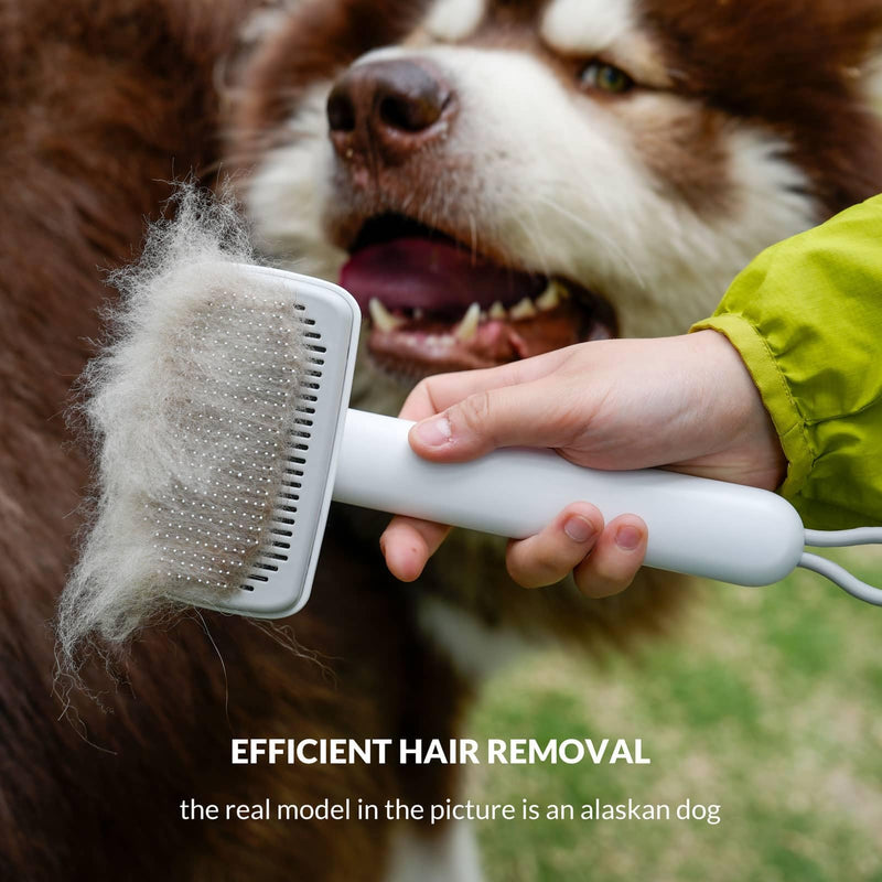 Self Cleaning Shedding Brush Grooming Tool for Long and Short Haired Dogs Cats Deshedding Hair Removal (Black) Black - PawsPlanet Australia