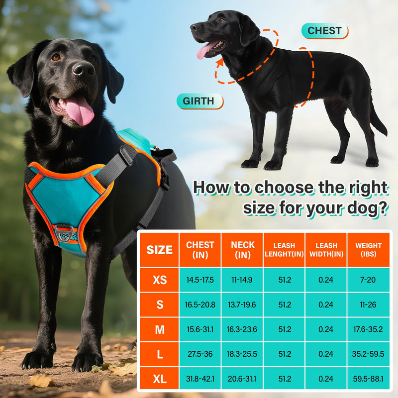 No Pull Dog Harness, 2 in 1 Retractable Harness with Auto-Lock, Reflective Breathable Mesh and Handle, Adjustable Leash Set for Small, Medium,Large Dogs,Cats (Color 1, L) COLOR 1 - PawsPlanet Australia