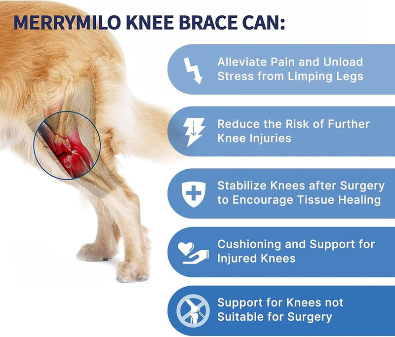 Dog Knee Brace - Knee Cap Dislocation for ACL, CCL, Cruciate Ligament Injury, Joint Pain and Muscle Sore, Adjustable Dog Rear Legs Bracer with Metal Side Stabilizers (Black, Medium-Right) - PawsPlanet Australia