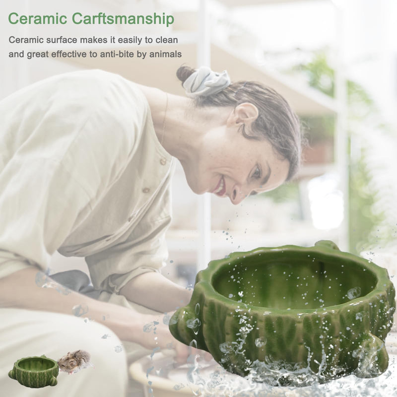 Hamster Food Bowl, 2 Packs Cactus Food & Water Bowls Ceramic Feeding Drinking Bowl Food Dish for Small Animals Gerbil Dwarf Hamster Rat Mice Guinea Pig(Green+Dark Green) Green+Dark Green - PawsPlanet Australia
