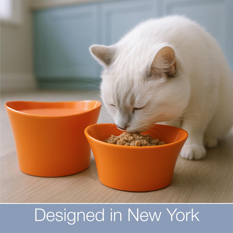 Raised Cat Water Bowl for Whisker Fatigue - Tilted, Elevated Cat Bowl Pedestal; Food-Grade Melamine; Anti-Spill, Durable & Dishwasher Safe (Original) - PawsPlanet Australia
