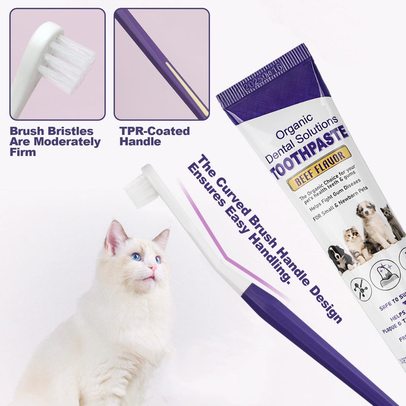 Dental care dog set, toothbrush for dogs and cats, dog toothpaste against tartar, with toothbrush, toothpaste and dog toothbrush, finger toothbrush, removes plaque and bad breath, beef flavor Blue Version