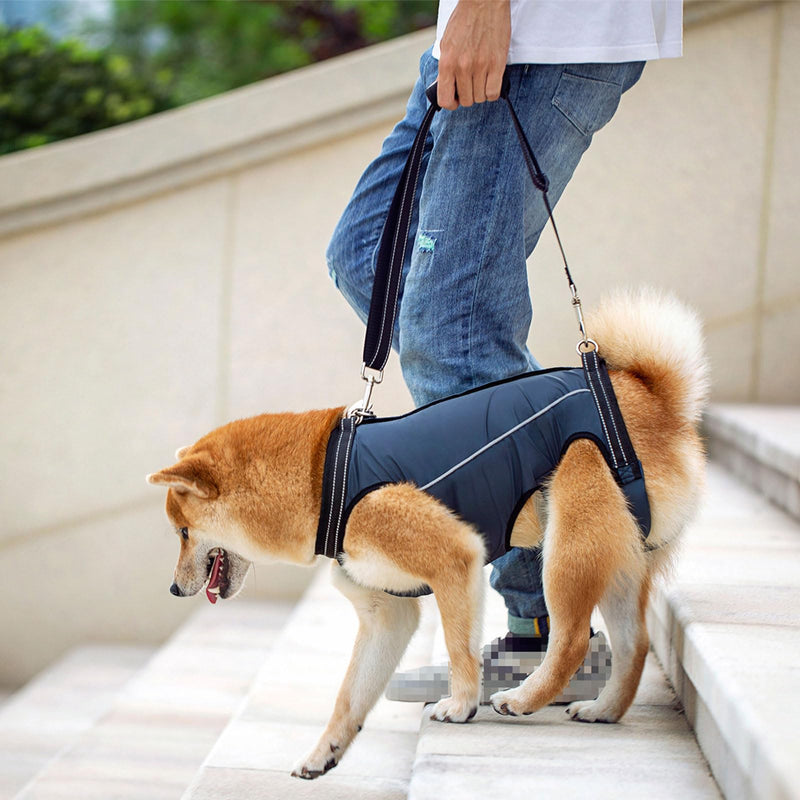 Fit dog lifting harness pet walking body one for medium-sized dogs. Acts the disabled support rehabilitation moves
