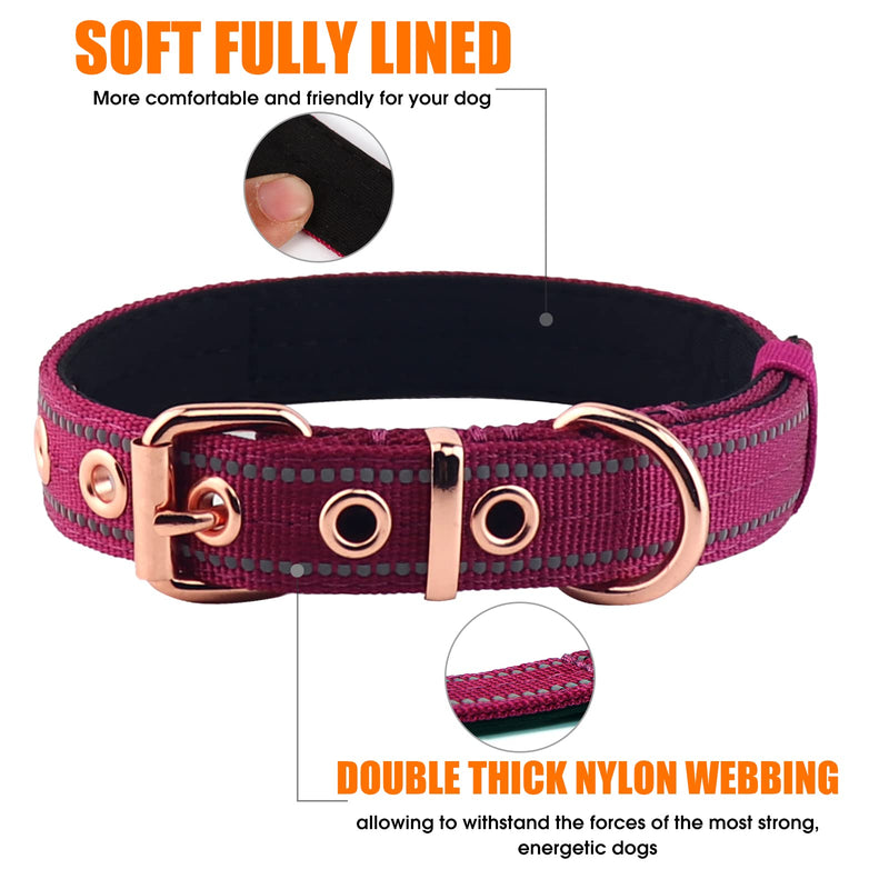 Neoprene Padded Dog Collar, Nylon Collar for Small to Large Dogs, Heavy Duty with Metal Buckle, Reflective(Large, Wine red) Large (Pack of 1) - PawsPlanet Australia