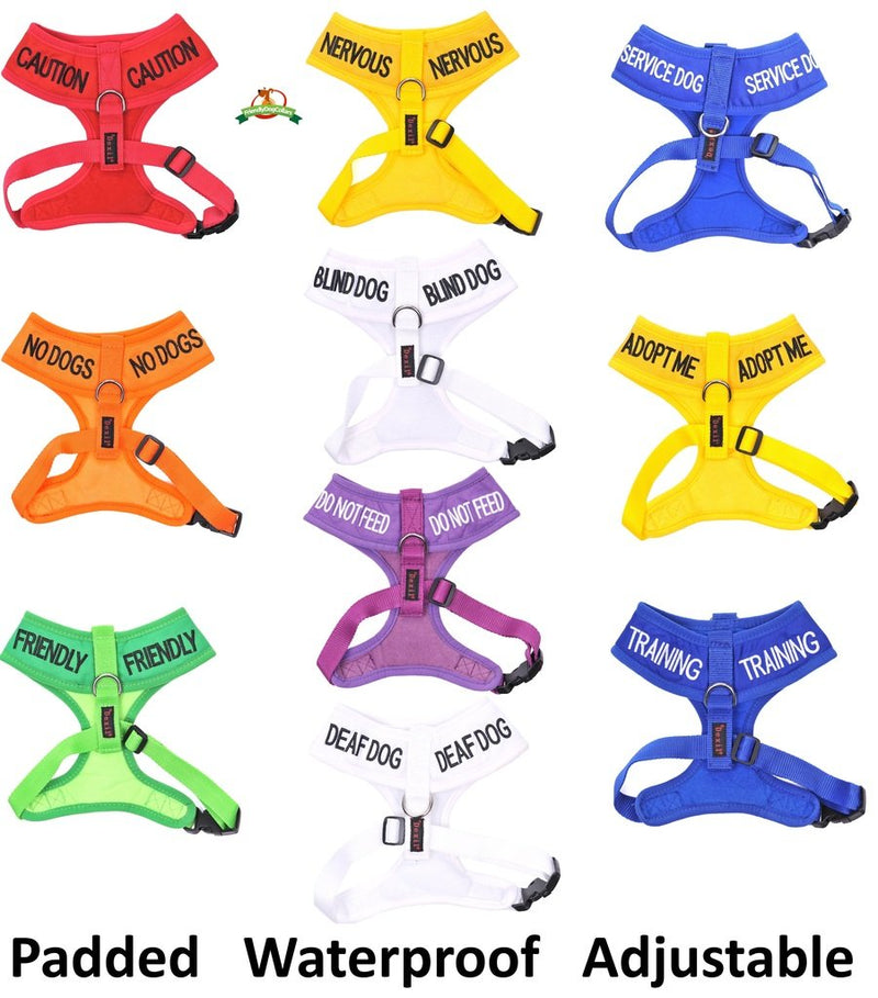 Dexil Limited Friendly Green Color Coded S-M Buckle Dog Collar (Known As Friendly) Prevents Accidents by Warning Others of Your Dog in Advance - PawsPlanet Australia