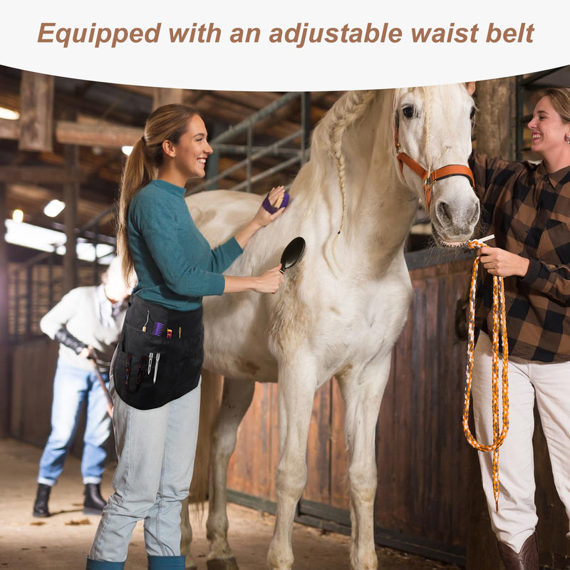 Horse Braiding Kit for Party Styling, Complete Horse Grooming Set – Essential Supplies for Dressing Up Your Horse for Events and Celebrations. - PawsPlanet Australia