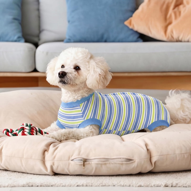 FEimaX Dog Surgery Recovery Suit, Puppy Surgical Bodysuit After Surgery for Female Male Dogs Recovery Suits Cone E-Collar Alternative Dog Onesie Pet Shirt for Small Medium Dogs Cats (L, Blue) L