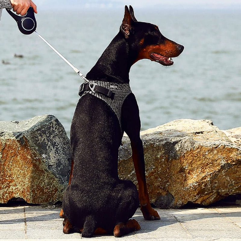 Petkit Air Fly Dog Harness (S) (Black)