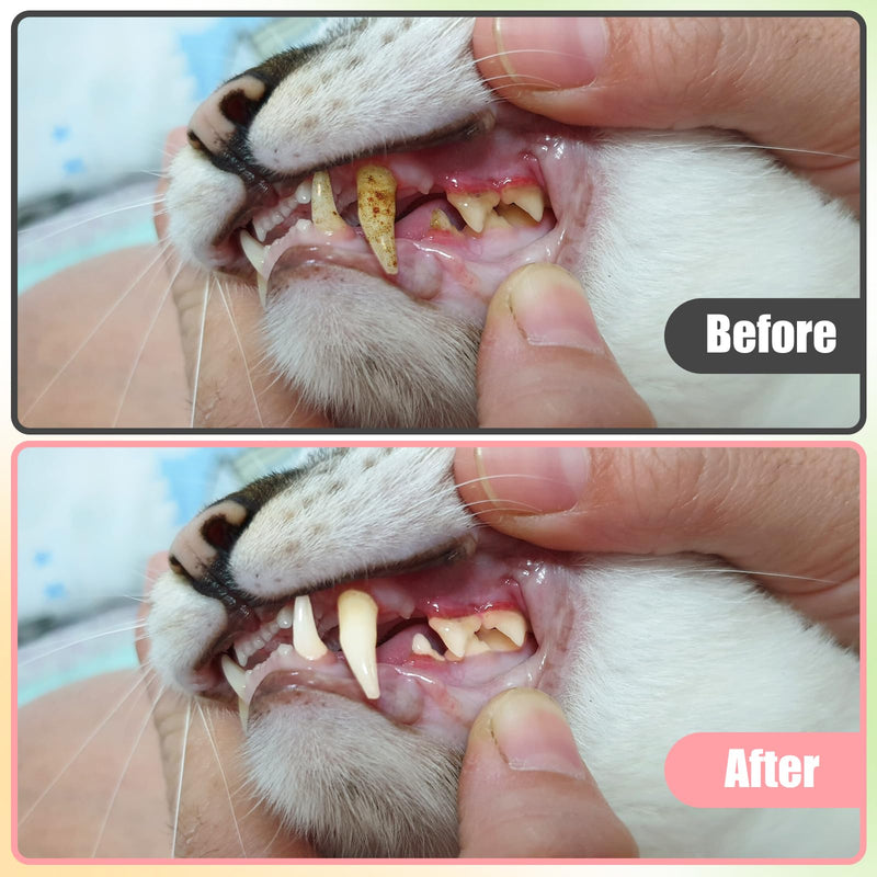 5 PCS Small Dog Toothbrush, Pet Toothbrush Cat Tooth Brush Micro Head Puppy Tooth Brushing Cat Dental Care Oral Hygiene Deep Teeth Cleaning Brushes 360 Degree Soft Bristles Round&Pointed Toothbrushs - PawsPlanet Australia