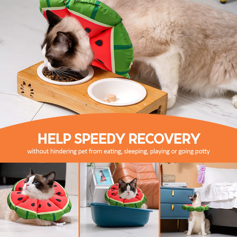 Avont Cat Recovery Suits Bundle with Cat Cone Collar Soft - PawsPlanet Australia