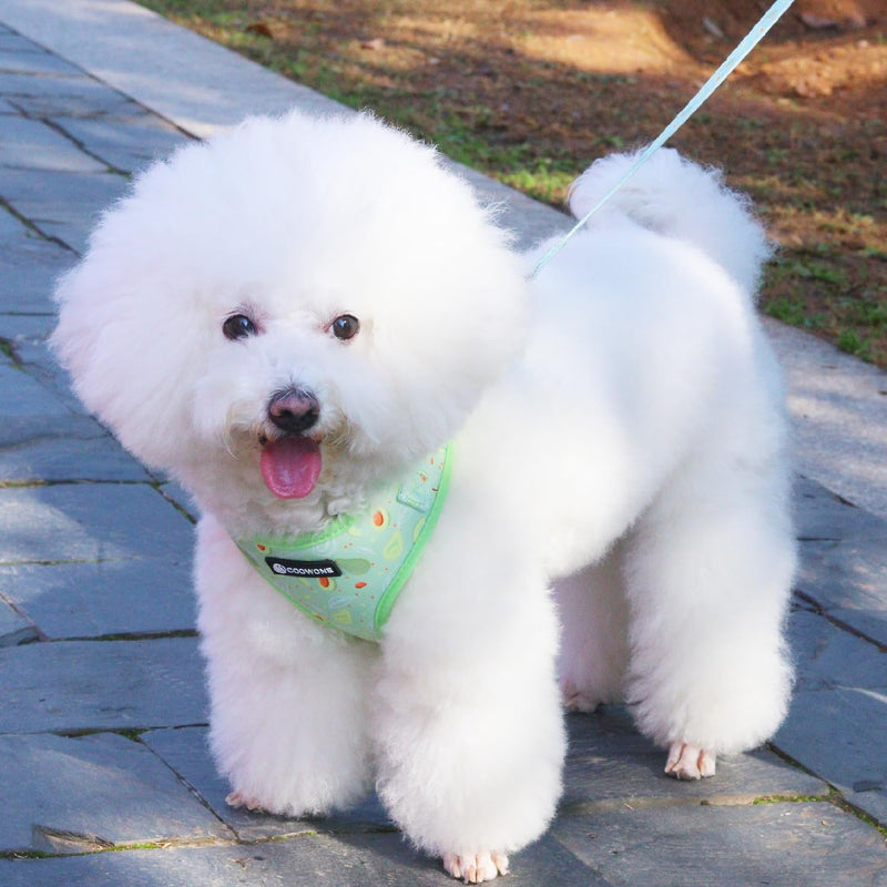 Dog Harness and Leash Set, Adjustable Dog Harness, Dog Leash, No Pull No Choke Puppy Harnesses for Walking Training for Small Medium Large Pet S(Chest 13 - 19", Neck 9.5 - 13.1") Avocado - PawsPlanet Australia