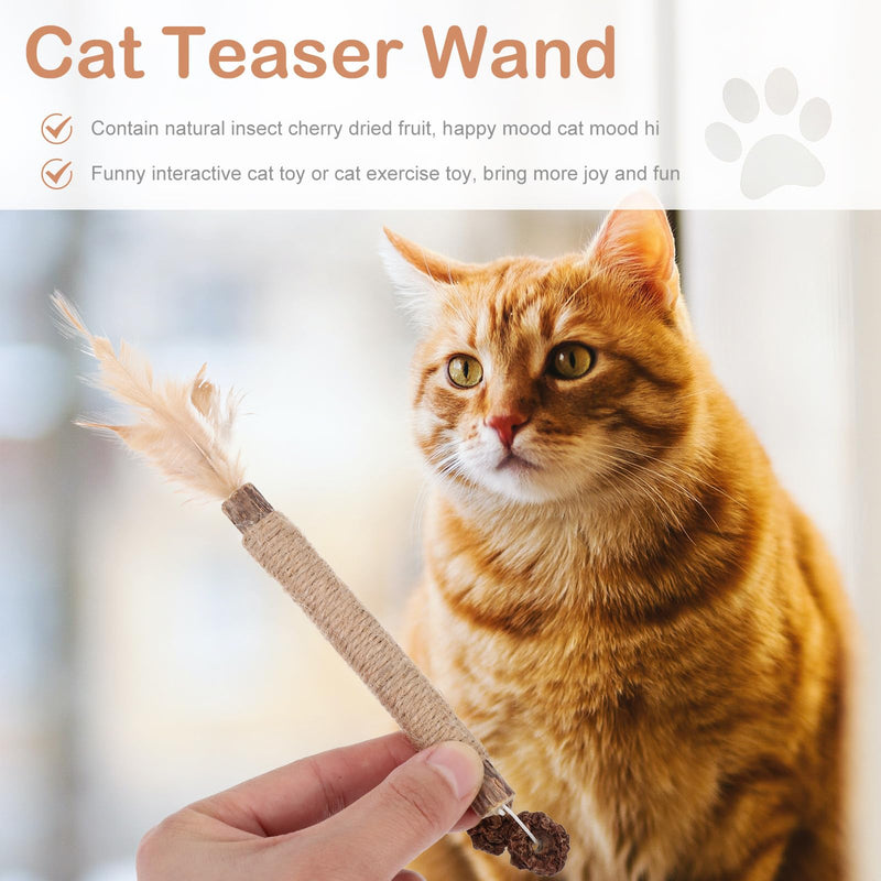 iplusmile 5 pcs Cat Toy Bites made from Actinidia Polygama and Cecidum Fruit for Cats for Dental Care and Indoor Activity