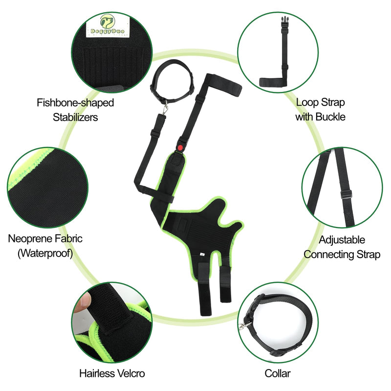 Dog Knee Brace for Hind Legs with Extra Collar & Strap - Relieves Joint Pain & Discomfort, Enhances Mobility | Supports Recovery from Osteoarthritis, Torn ACL/CCL, Luxating Patella | Adjustable (L) Large - PawsPlanet Australia