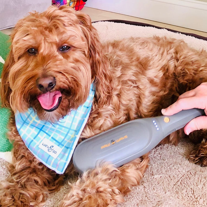Buzz Therapeutic Brush Vibration Pet Massager for Dogs and Cats Designed to Help Soothe Tension, Increase Circulation and Relieve Tight Muscles - PawsPlanet Australia