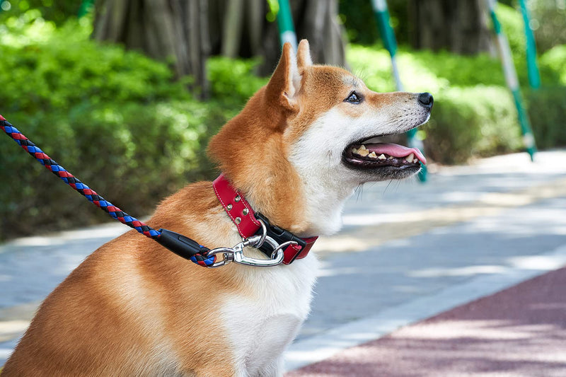 Soft Leather Dog Collar Adjustable Size Suitable for Large Medium and Small Dogs Running and Walking.Black/Coffee/Red /Blue (Red, S 10"-13" W 3/4") Red S 10"-13" W 3/4" - PawsPlanet Australia