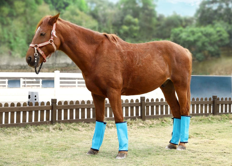 Horse Fly Leggings Boots – Set of 4 UV-Protective Stretch Mesh Fly Boots with Stays, Full‑Leg Coverage Sky Blue - PawsPlanet Australia