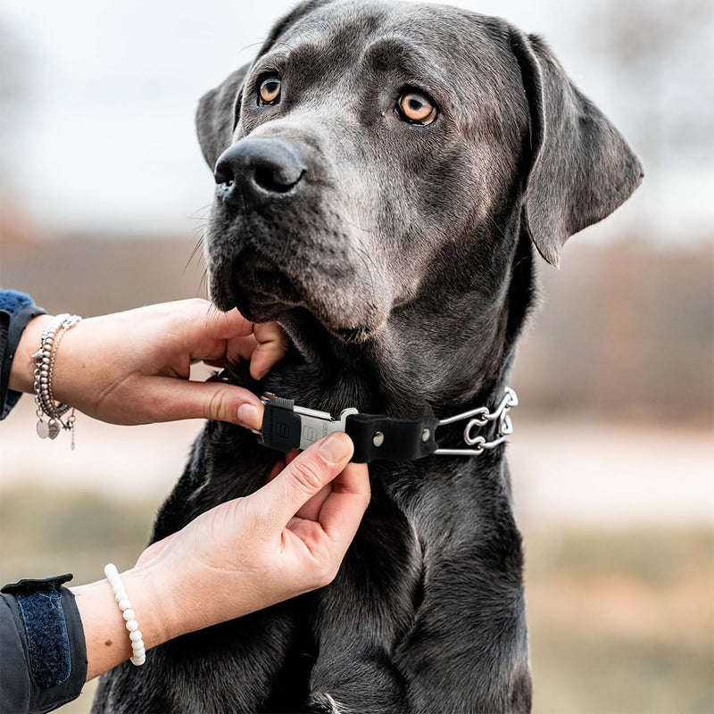 Herm Sprenger Prong Collar for Dog Training with Easy Quick Release Cliclock & Swivel Ring - German Made Dog Collar with Chrome Plated Stainless Steel 2.25mm Prongs for Small/Medium Dogs (13-19" Neck) Small/Medium (13-19" Neck, 2.25mm Links) - PawsPlanet Australia