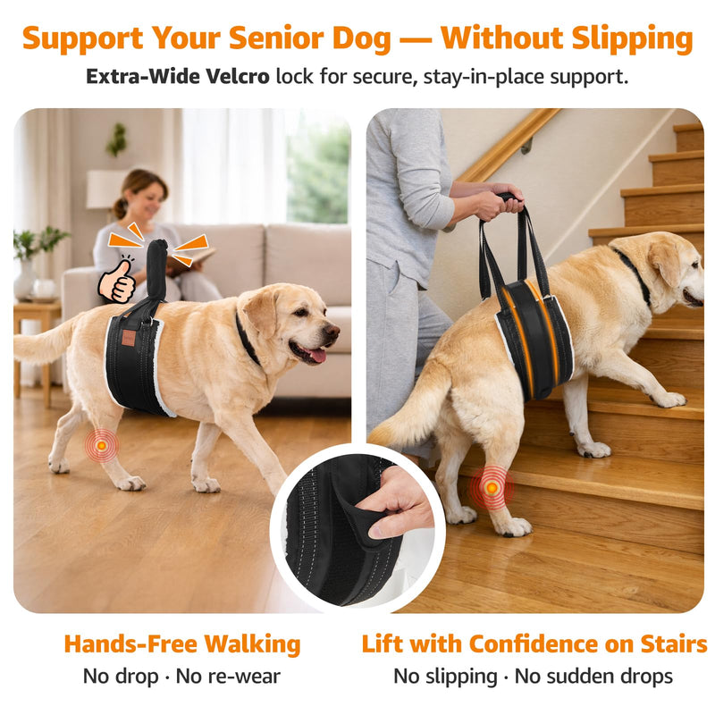 LOOBANI Dog Lift Harness for Back Legs, Portable Dog Sling for Large Dogs Hind Leg Support, Comfortable Leg Support Assistance for Elderly Dogs with Hip, ACL Brace, Senior, Injured - PawsPlanet Australia