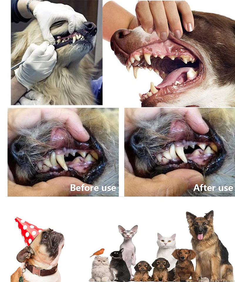 Dog Toothbrush Set, Pet Toothbrush Set, 11 Pieces, Silicone Finger Toothbrush, Long Handle, Double Headed Toothbrush, Metal Tool Included, Professional Teeth Cleaning Kit for Pets 1 stück (11er Pack)