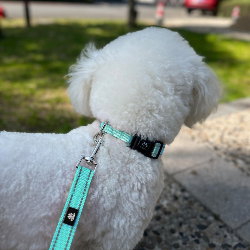 FURRYFECTION Reflective Dog Collar and Leash Set with Quick Release Buckle, Padded with Neoprene Adjustable Nylon Dog Collar for Small Medium and Large Dogs (Medium Collar+5FT Leash, Teal) Teal Collar+Leash Medium(16-20" Length,1.0" Width)