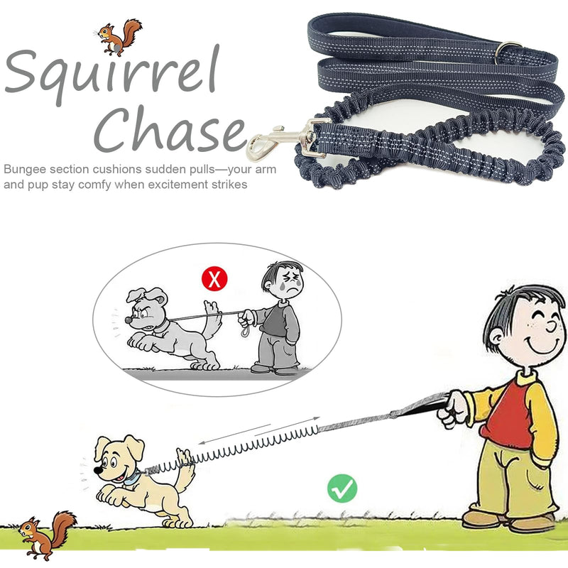 Bungee Dog Leash- 5FT Shock Absorbing & Reflective Nylon Leash| Anti-Pull Training for Small/Medium Dogs | 2cm Wide, 6 Colors (Black) Black - PawsPlanet Australia