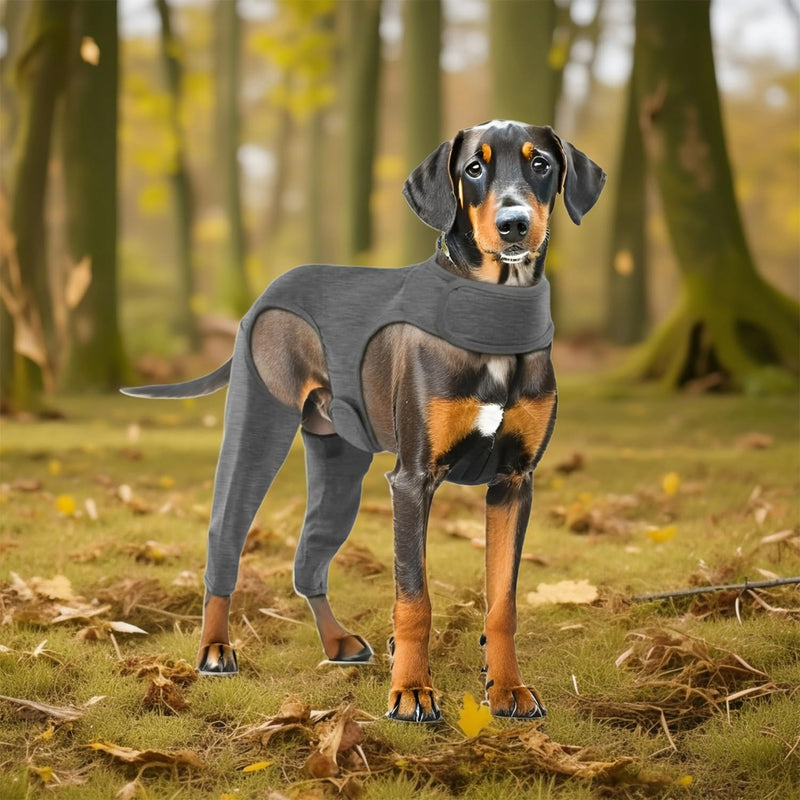 Dog Protective Suit After Surgery with Leak Protection Body for Hind Legs Alternative to E Collar, Surgical Wound Protection Recovery Aid Ideal for Post-Operative Care Mobility L