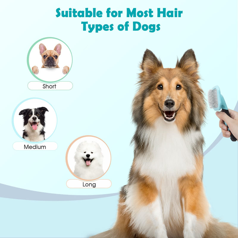 Slicker Brush, PETPAWJOY Dog Brush Gently Cleaning Pin Brush for Shedding Dog Hair Brush for Small Dogs Puppy Yorkie Poodle Rabbits Cats - PawsPlanet Australia