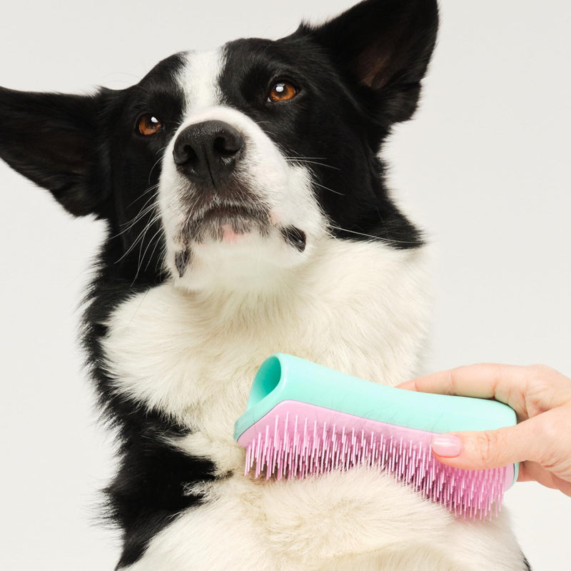 Tangle Teezer Large Pet Teezer De-Shedding Grooming Brush - Dry or Bath Brush - The Perfect Deshedding Brush for Dogs - Mint & Pink - PawsPlanet Australia