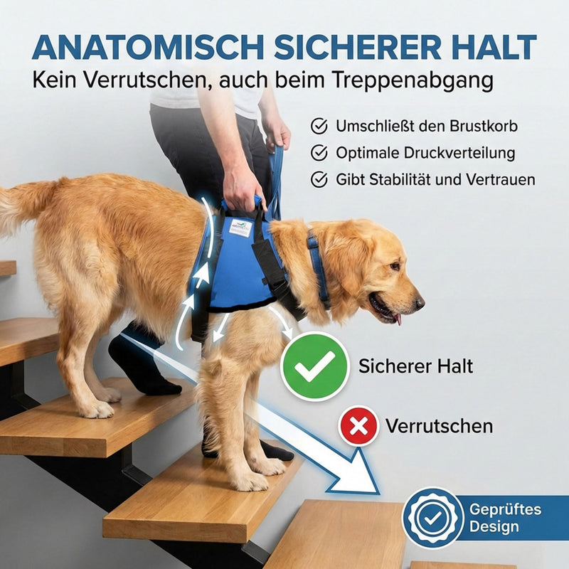 Pfaff medical dog carrier / lifting front harness for Elderly or Injured Dogs (large) L Black