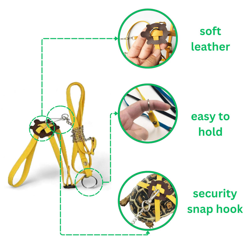 Adjustable Tortoise Leash and Funny Skateboard Set, Training Harness and Mini Skateboard for Turtle Dragon Bearded Lizard Small Pets, Pet Tortoise Toys, Accessories for Tortoises (Small) - PawsPlanet Australia