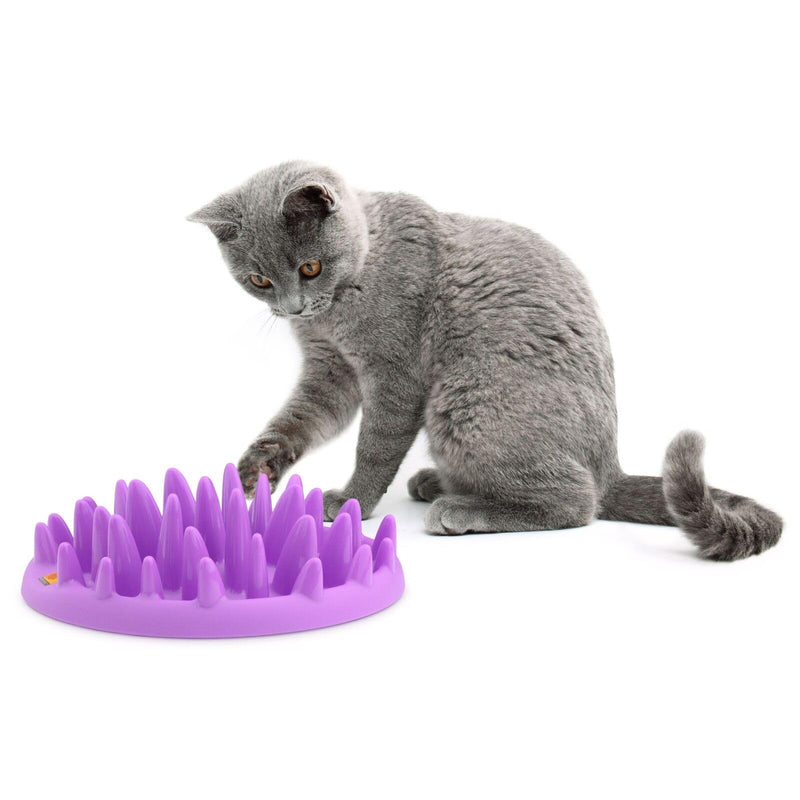 Northmate Catch Feeder For Cats- Size Mini - PawsPlanet Australia
