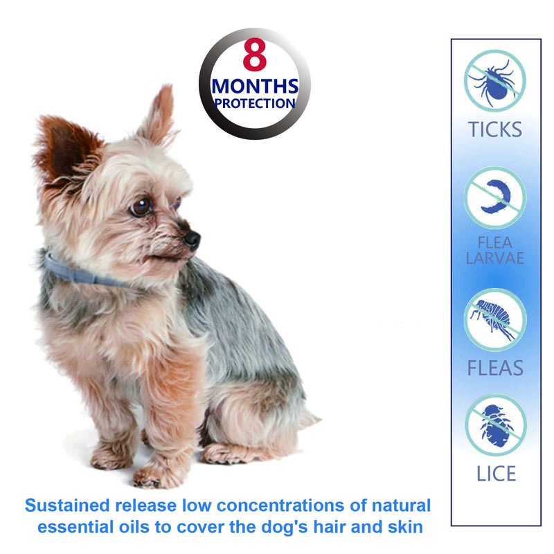 Natural Ingredients Flea Repellent Collar for Small Dogs,Safe and Effective Flea and Tick Repellent, Waterproof,8 Months Protection,Free Comb and Tick Scoop,Flea Repellent Drops,13.8 Inches,1-Pack 1-pack