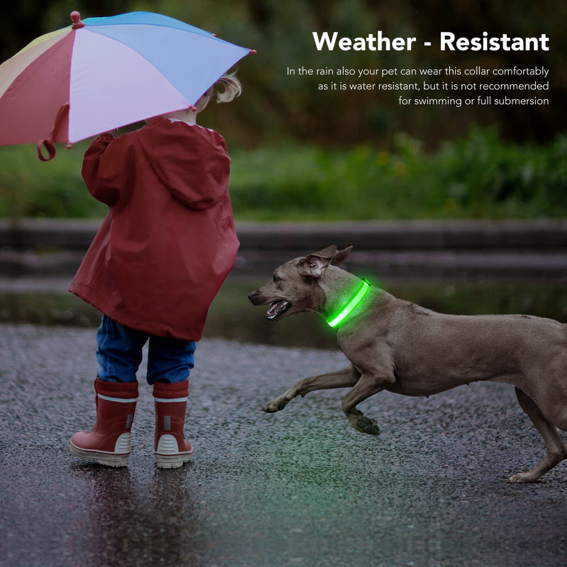 Light Up Dog Collars, LED Dog Collar Rechargeable Waterproof, Full Adjustable Lighted Collar, Glow Dark Dog Collar Light for Night Walking for Small Medium Dogs (Green) Green - PawsPlanet Australia