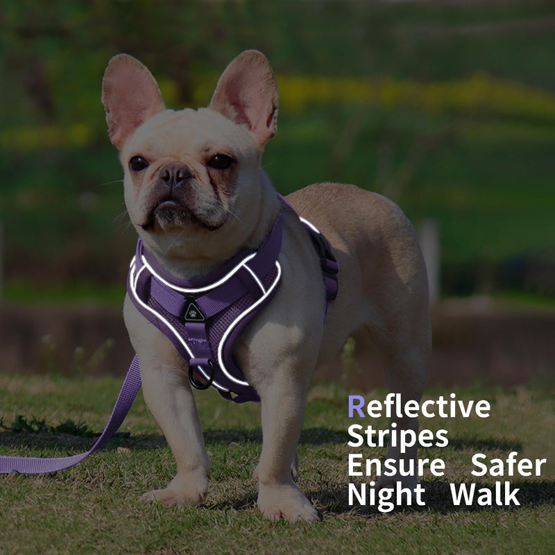 No Pull Dog Harness with Leash Set for Small Sized Dog, Reflective Adjustable No Choke Front Clip Cat Vest Harness with Breathable Mesh, Comfortable Soft Padded Pet Vest, Purple S S (Neck 9.63-12.78'' Chest 10.42-14.35'') - PawsPlanet Australia