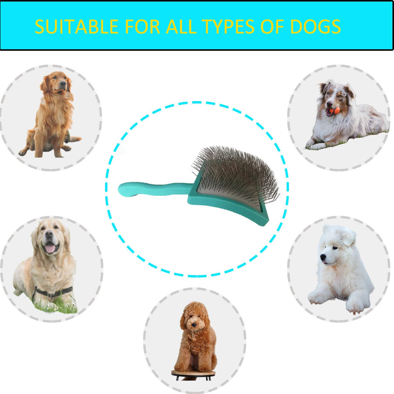 Dog Brush For Long Haired Dogs Poodles Golden Doodles,Slicker Brush Large Dog Pet Grooming Wire Brush and Deshedding - PawsPlanet Australia