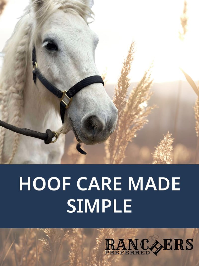 HoofWand • Horse Grooming Supplies for Daily Cleaning & Maintenance - HoofCare - Hoof Cleaner - Hoof Snow & Ice Removal - Pastern Cleaning - Coronary Band - PawsPlanet Australia