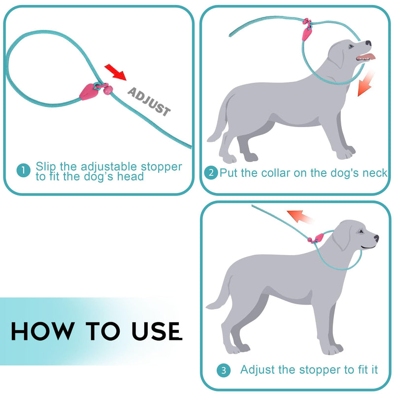 Slip Lead No Pull Dog Leash Slip Leads for Dogs Puppy Leash 6FT Slip Leash for Dogs Dog Lead with 6 Colors Strong Nylon Dog Training Leash Dog Leash (Green) Small Lake Green - PawsPlanet Australia