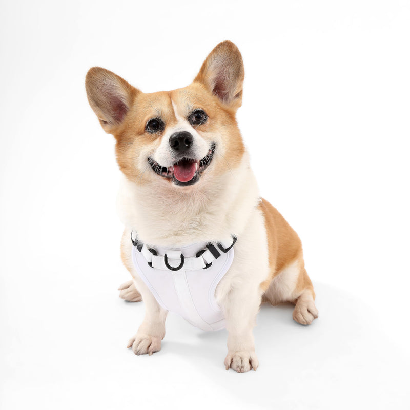 HNS1002F Arlo Medium Adjustable Soft Padded No Pull Pet Harness with 3 Buckles and 3 Leash Clips, Seltzer White Medium (Chest: 18 - 28") - PawsPlanet Australia