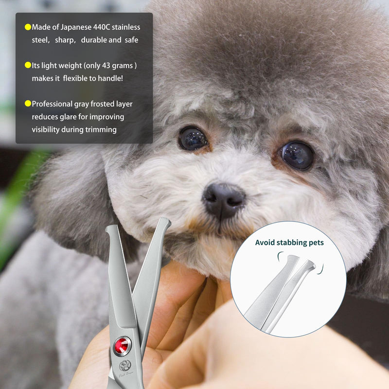 Purple Dragon Small Dog Scissors Straight with Professional Gray Anti-Glare Coating and Silencer, Safe Round Head, Straight Scissors